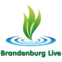 Brandenburg Live 1
