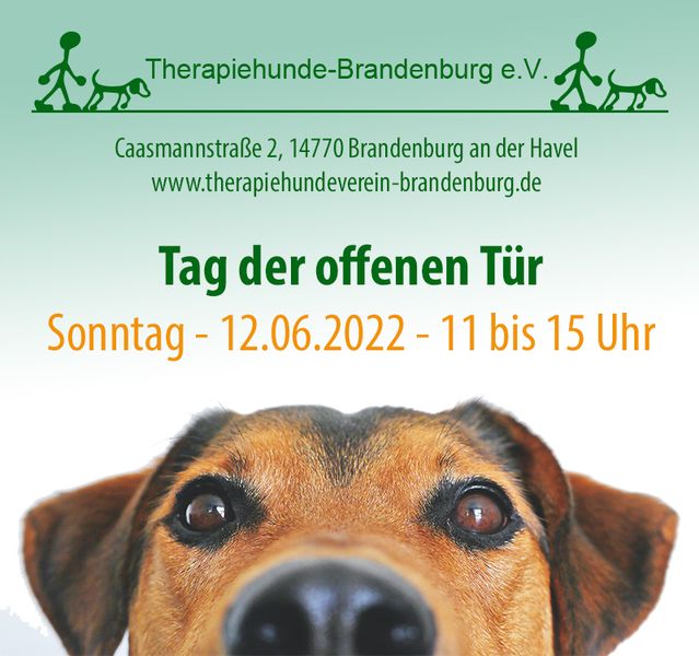 trimme Ferie Efterår Therapiehunde-Brandenburg e.V. feiert Tag des Hundes und öffnet seine Türen  - Brandenburg Live
