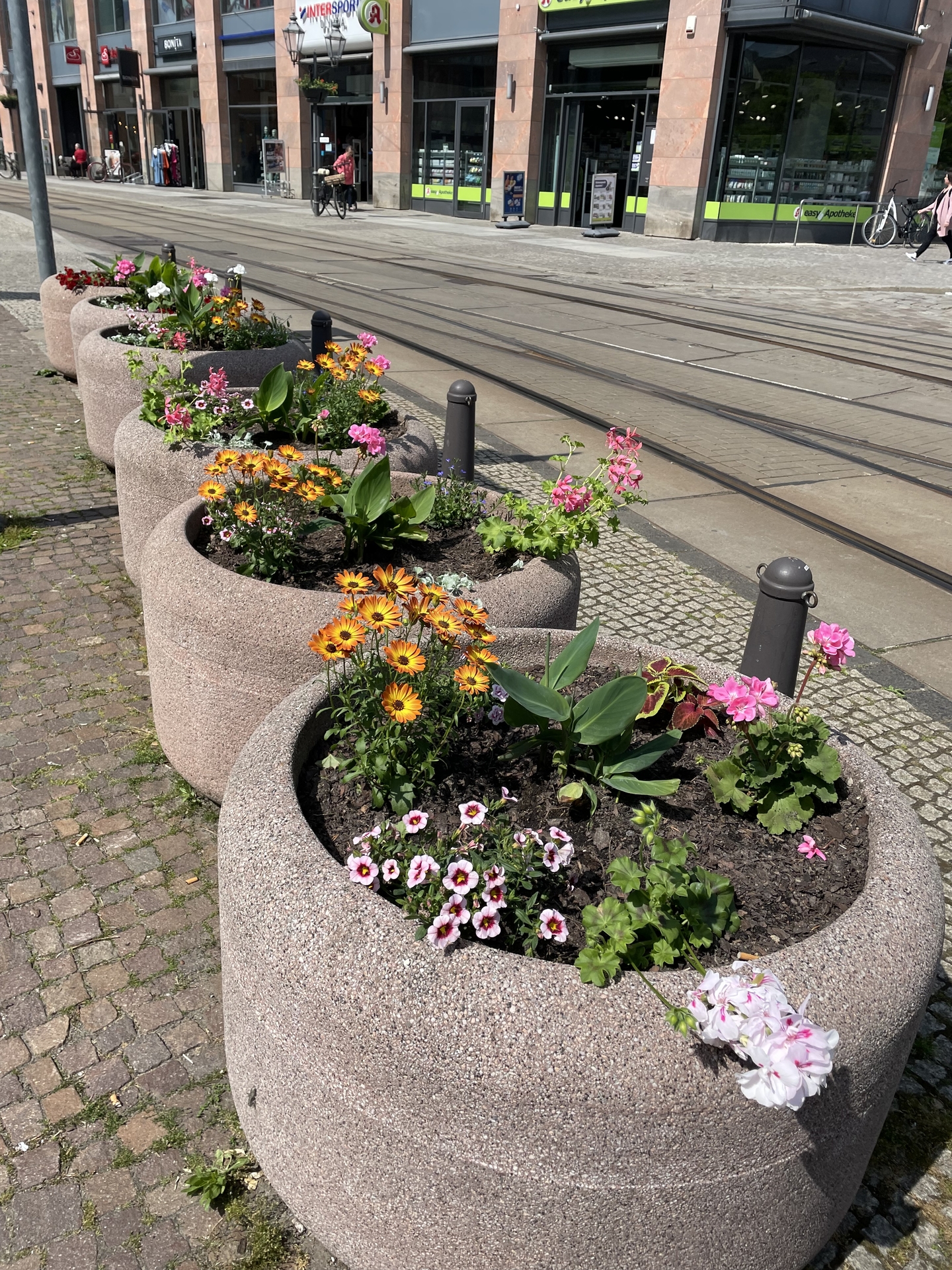 image_67225857