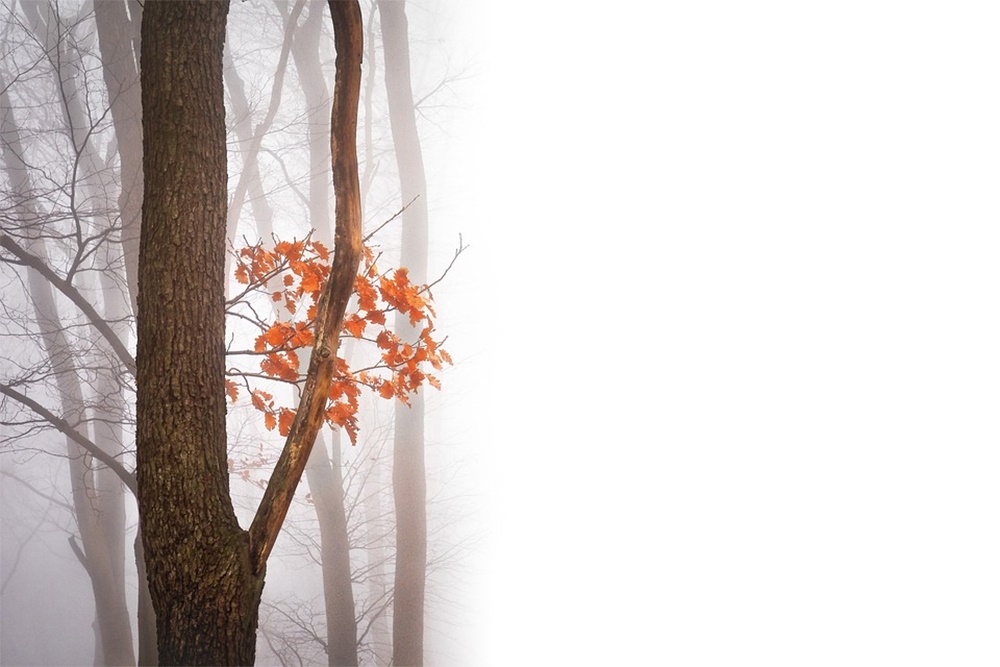 herbst herbst