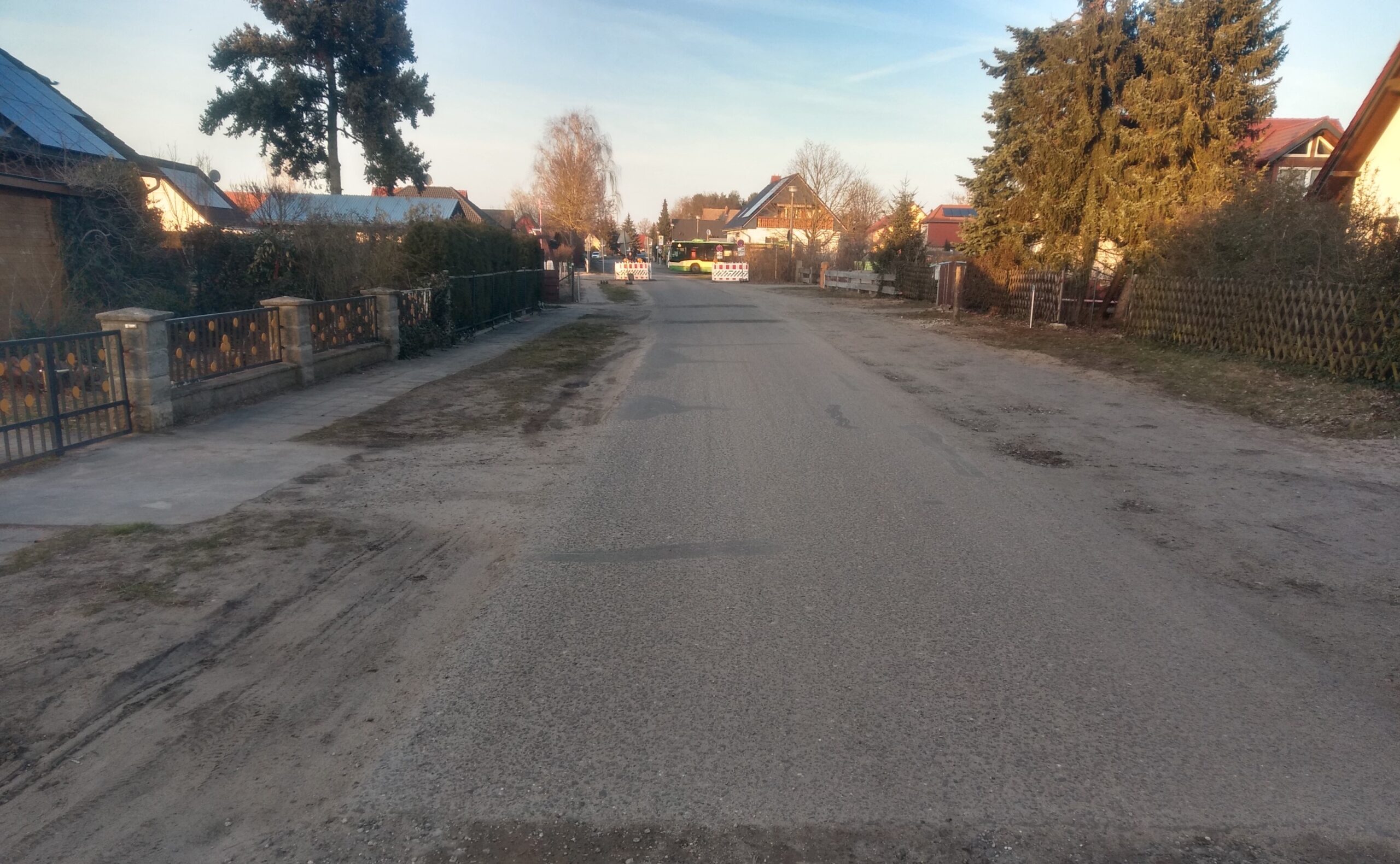 Buchernweg_20250303