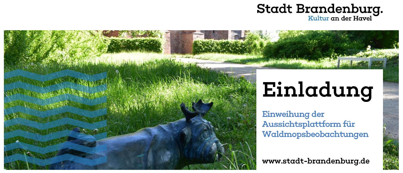 Waldmopszentrum