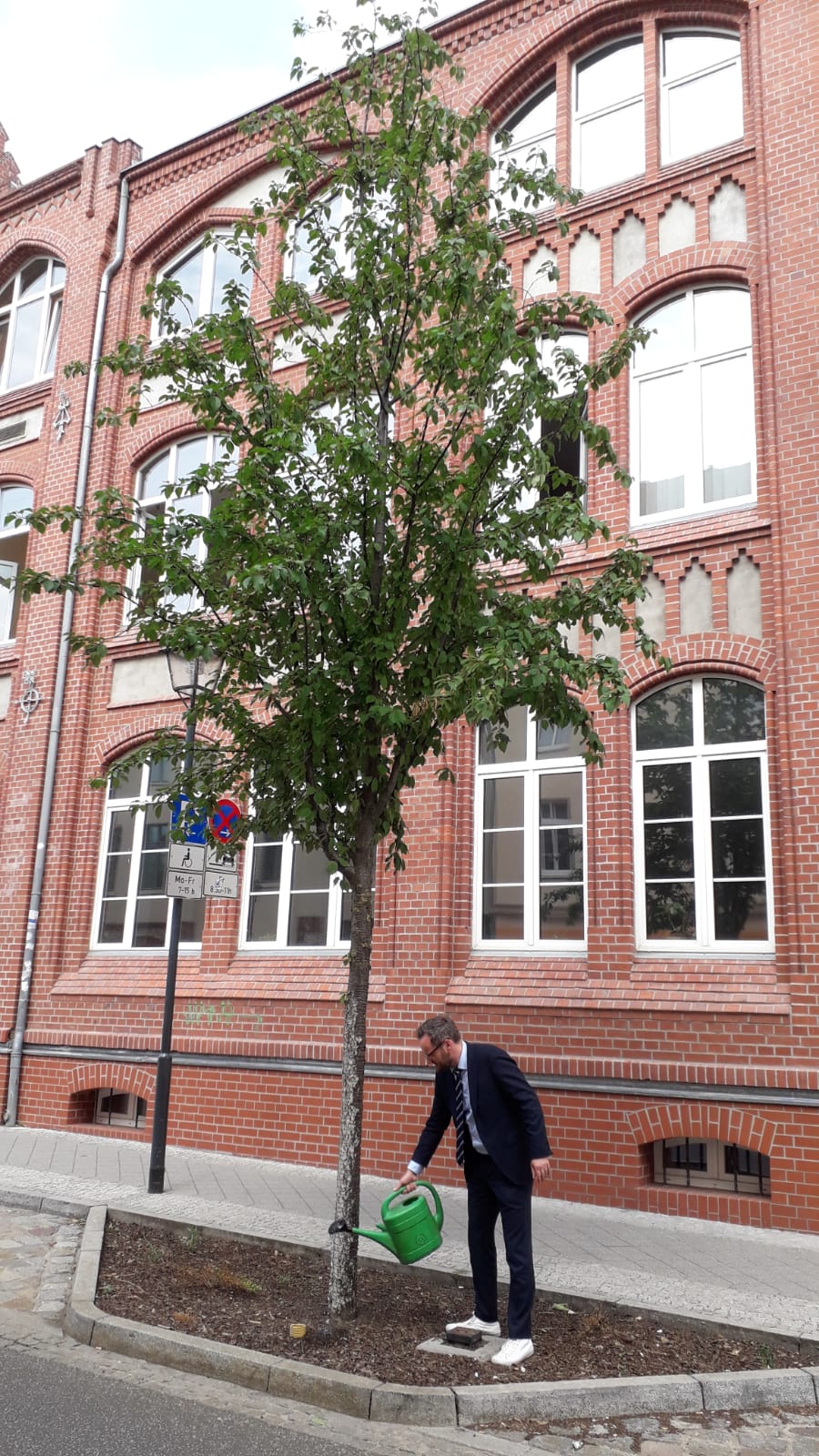 Baeume_giessen2
