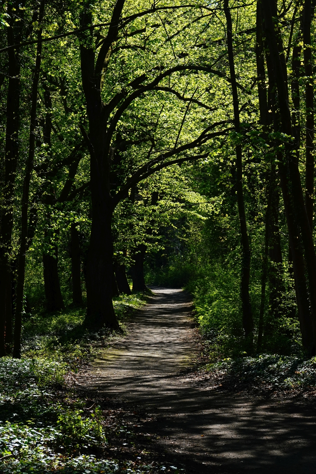 Hin_u_Weg_1