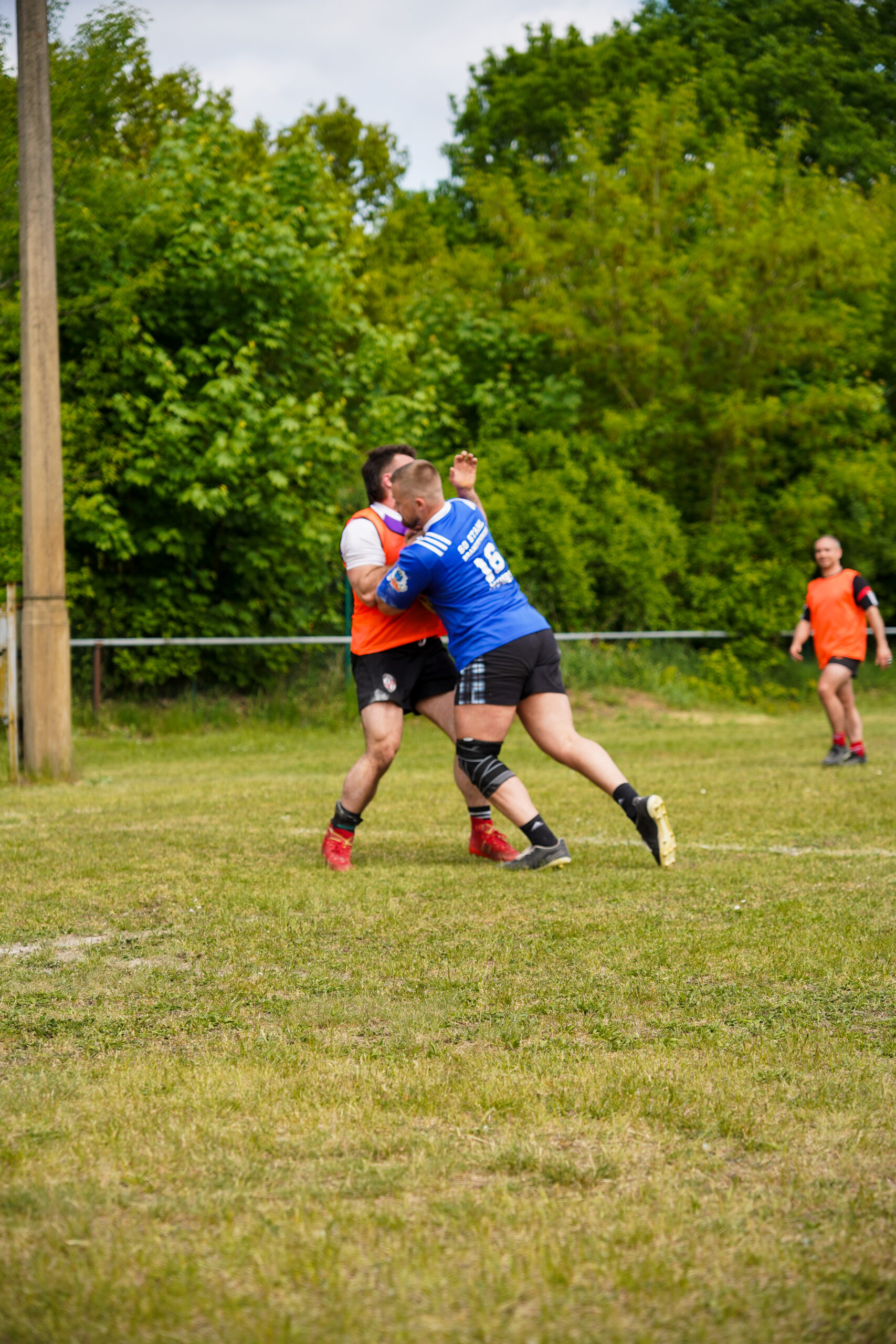 DSC02490 DSC02490