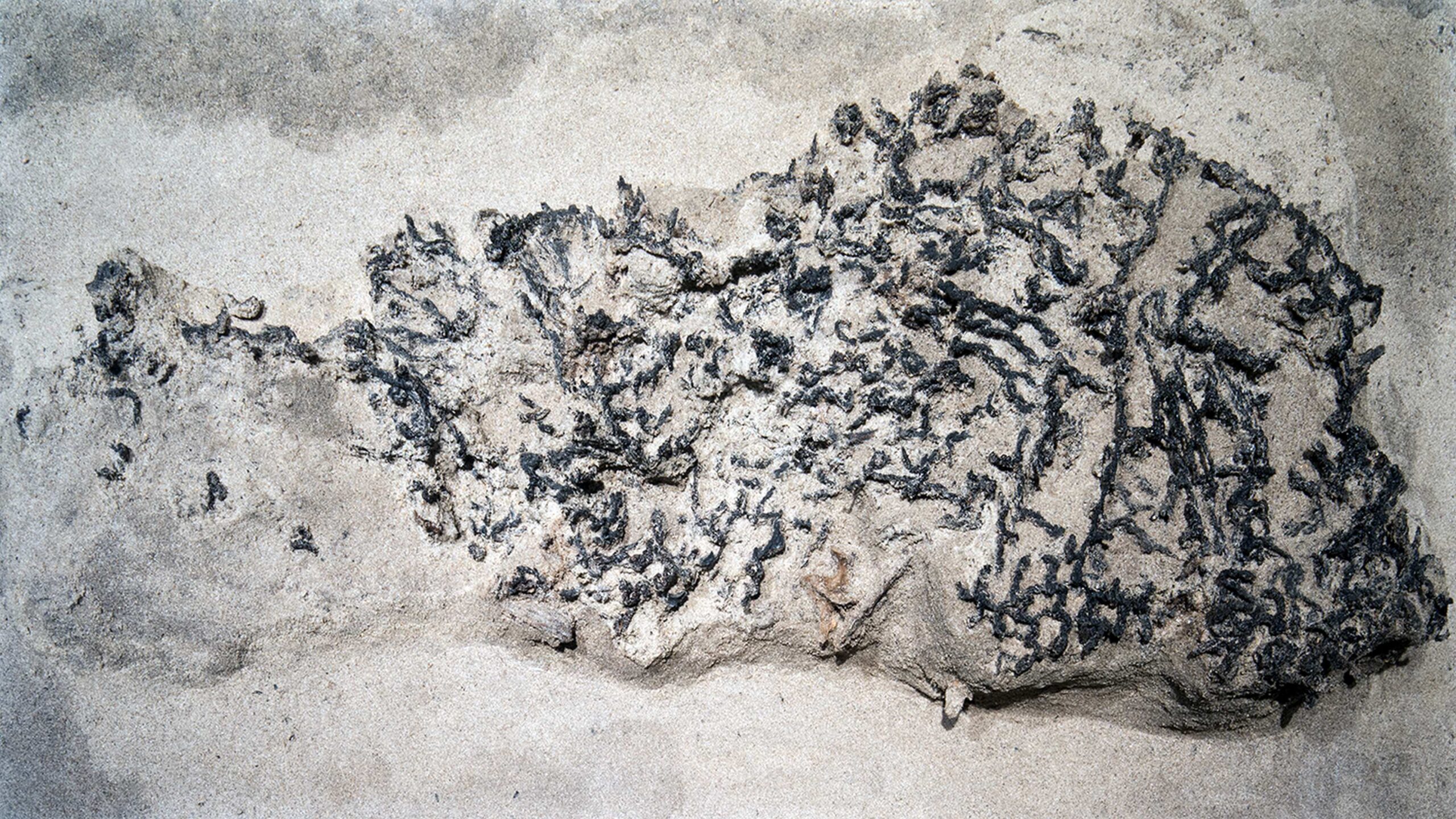Tragenetz aus Friesack, Mesolithikum, BLDAM