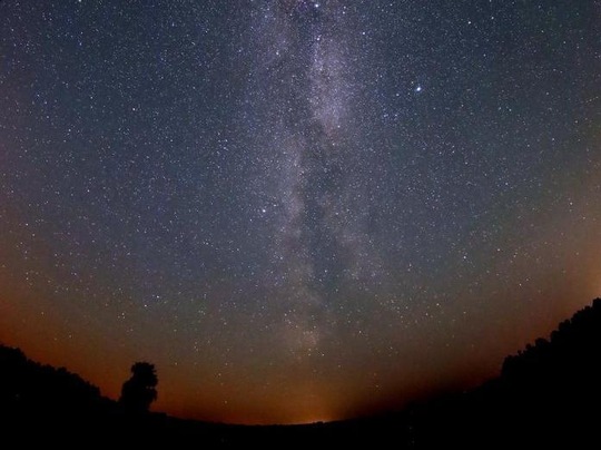 klare Sternennacht in Sielmanns Naturlandschaft Kyritz-Ruppiner Heide

Bilder mit freundlicher Genehmigung des Naturparks Stechlin-Ruppiner Land.