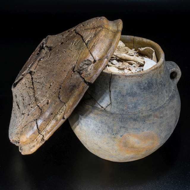 Gefäß mit Leichenbrand und Deckel, Bronzezeit, BLDAM