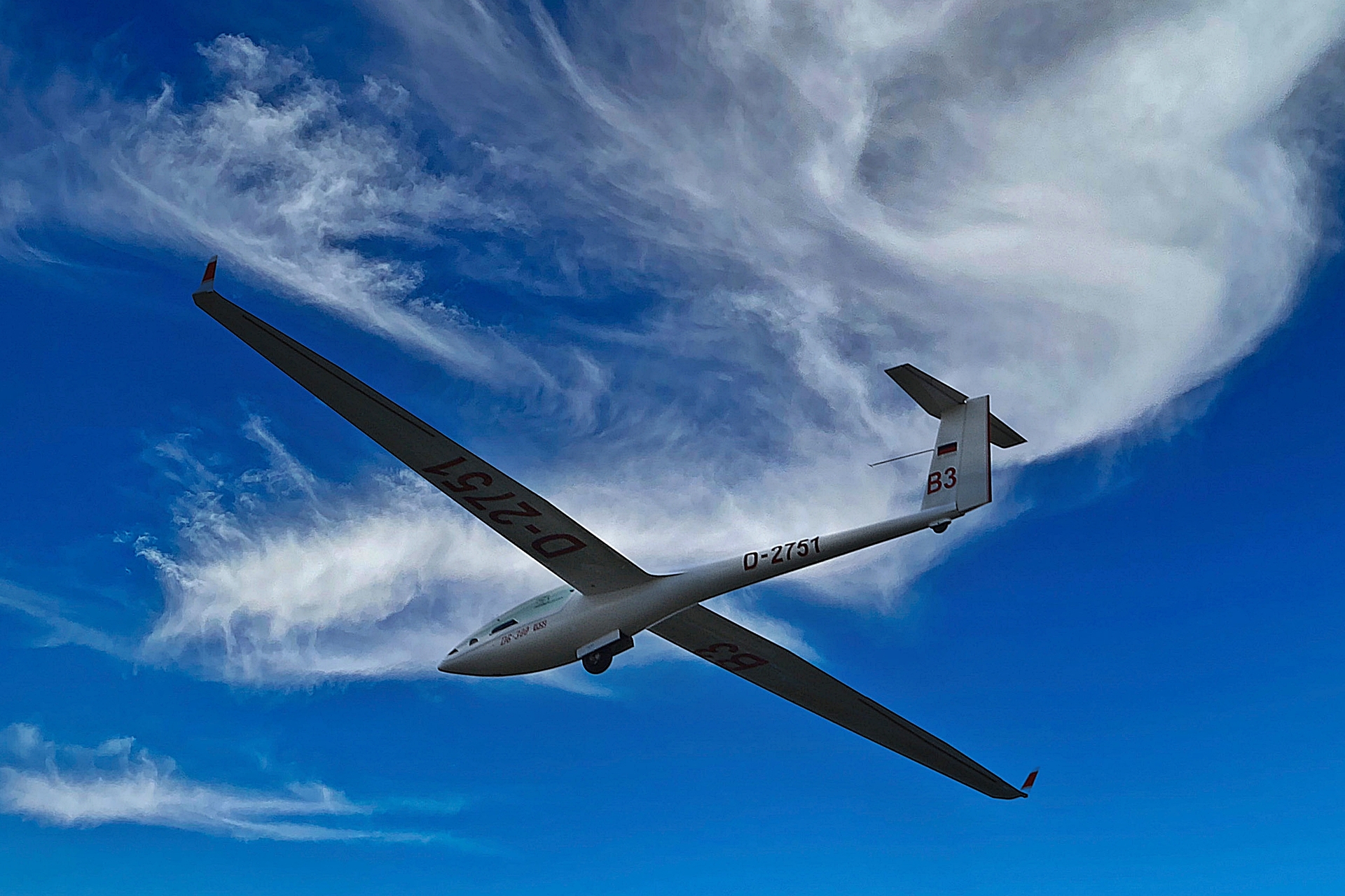 Segelflugzeug_1393