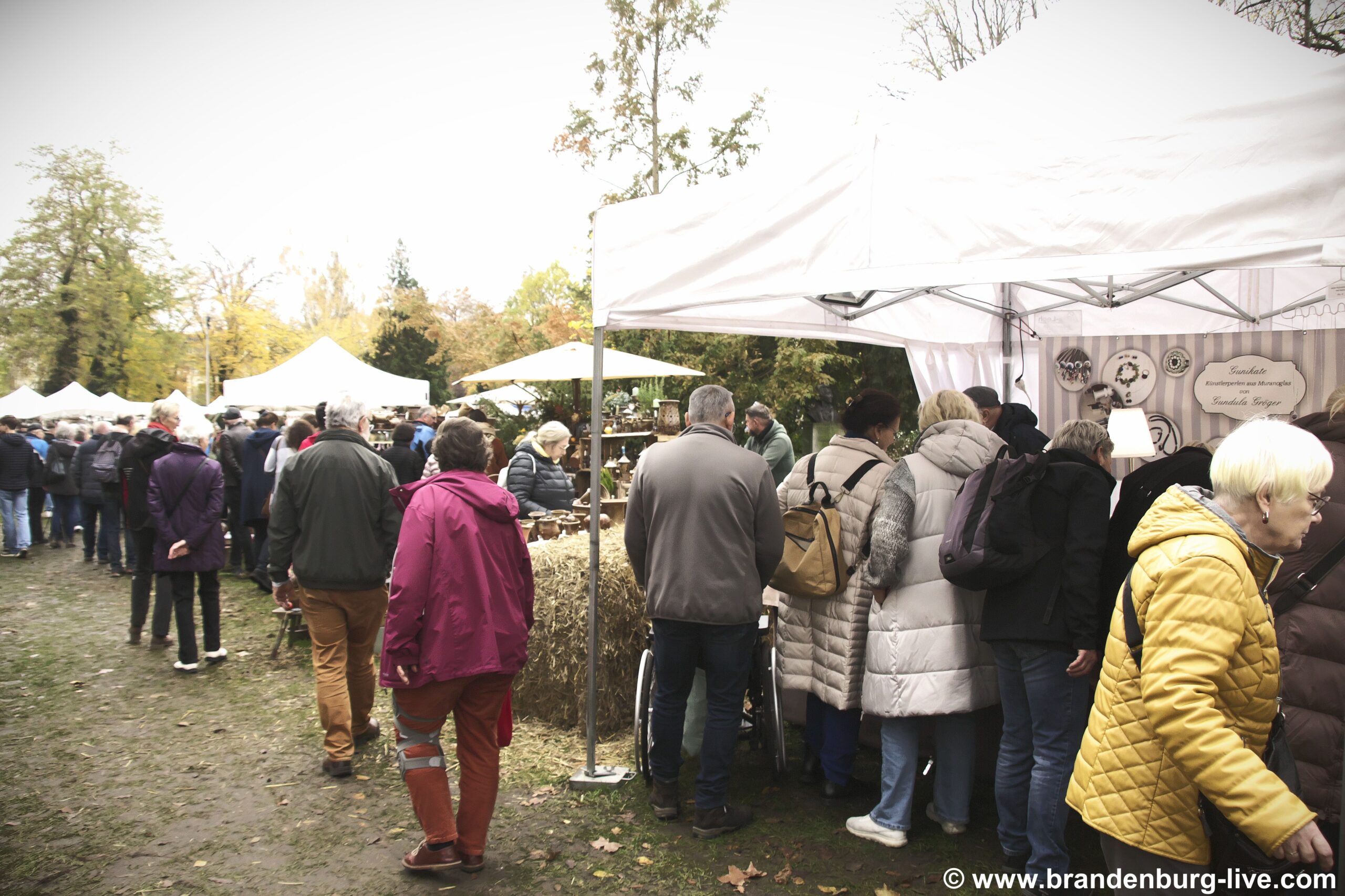 _MG_8351_ergebnis _MG_8351_ergebnis