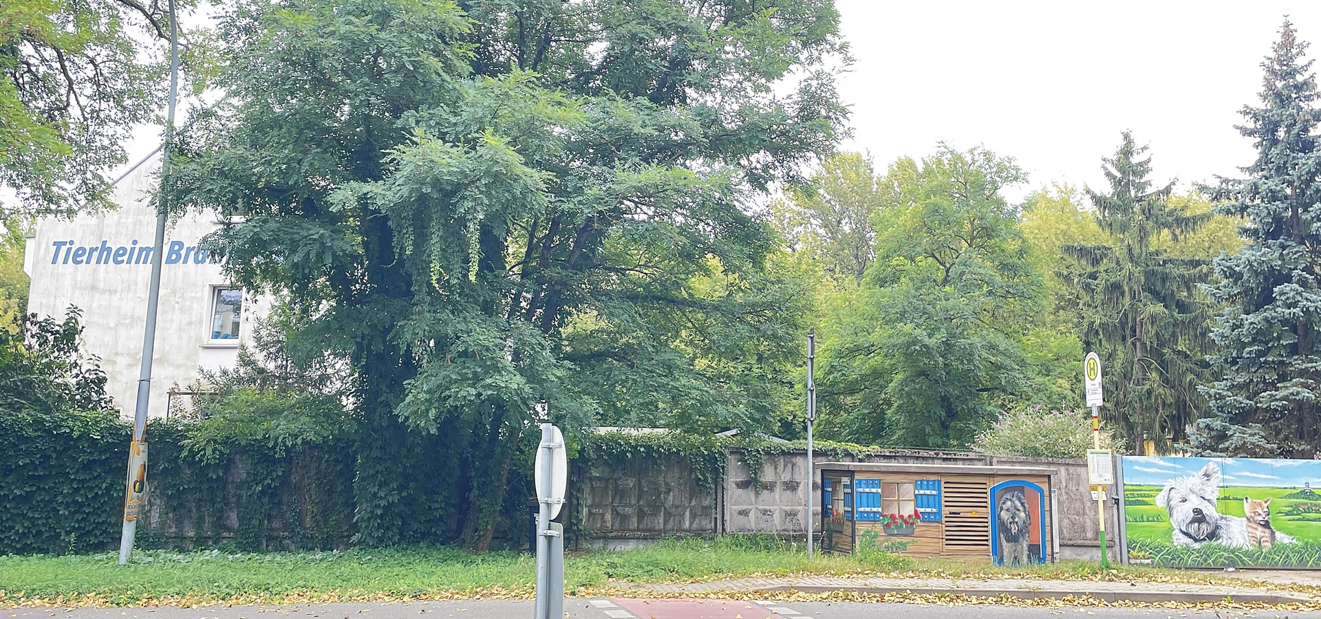 Tierheim_Brandenburg Tierheim_Brandenburg