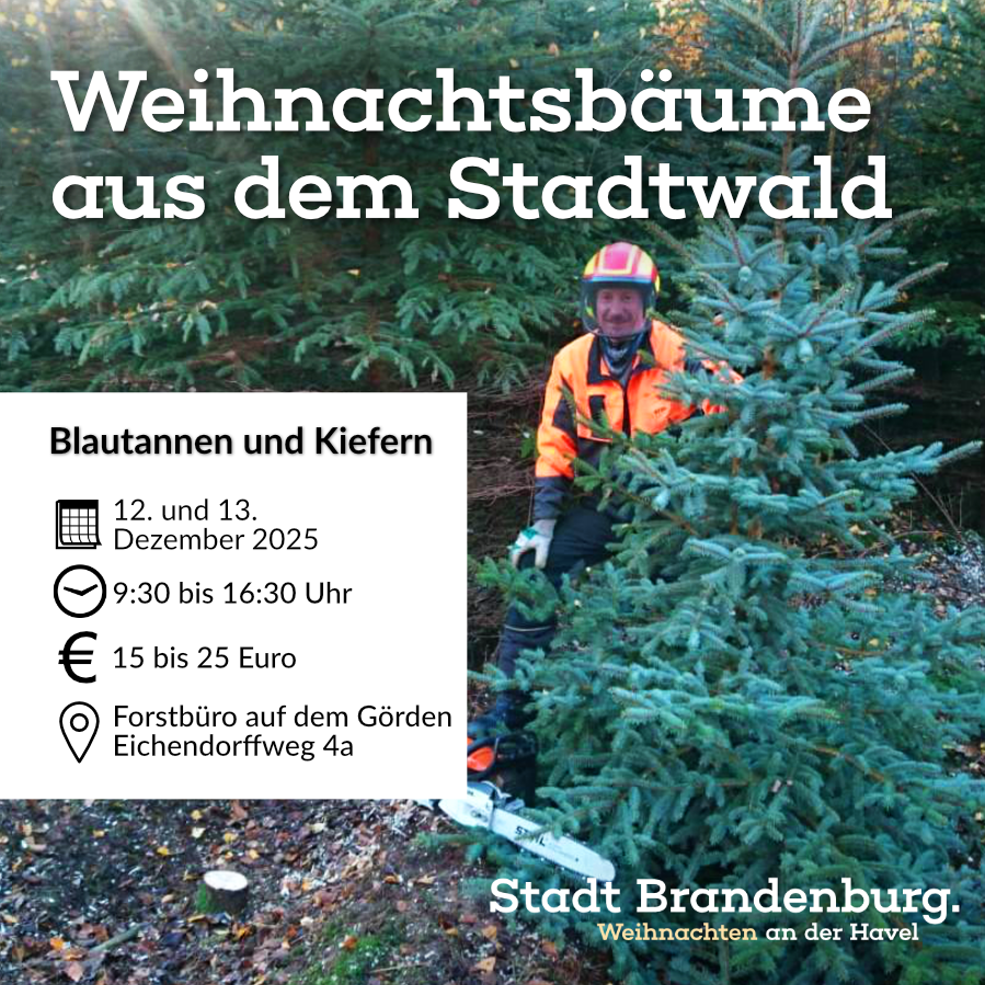 Anzeige_Weihnachtsbaum_aus_dem_Stadtwald_2025