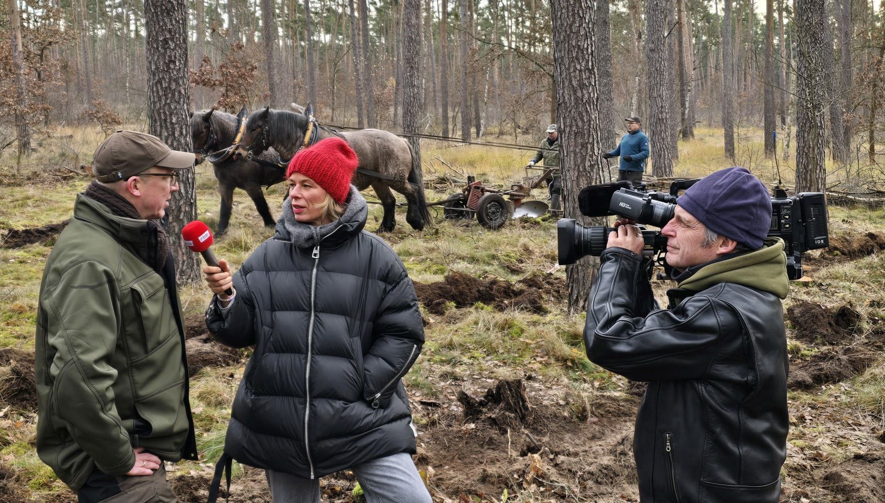 Rückepferde_Stadtforst_rbb_041225-1 Rückepferde_Stadtforst_rbb_041225-1