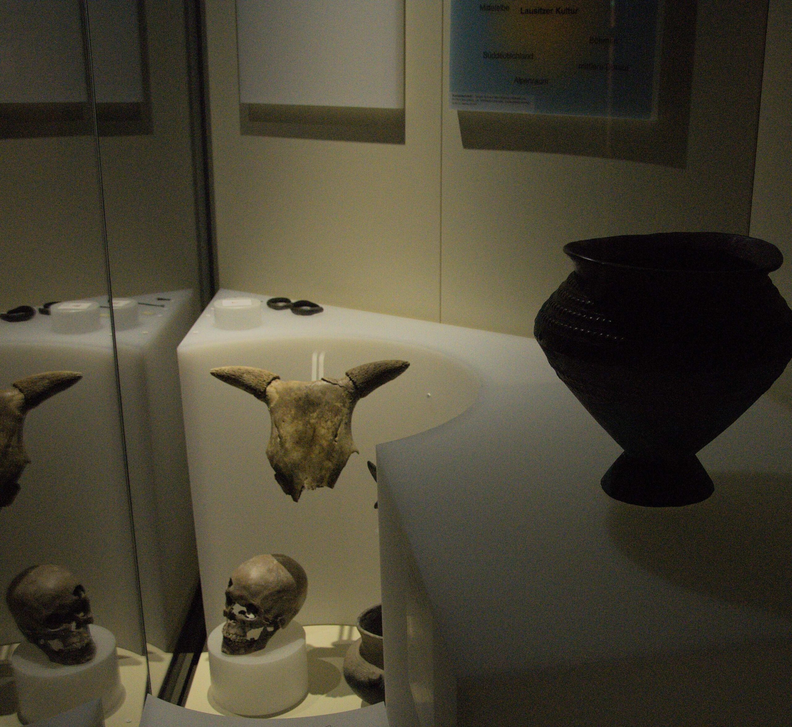 Foto_Taschenlampenführung - Kopie2