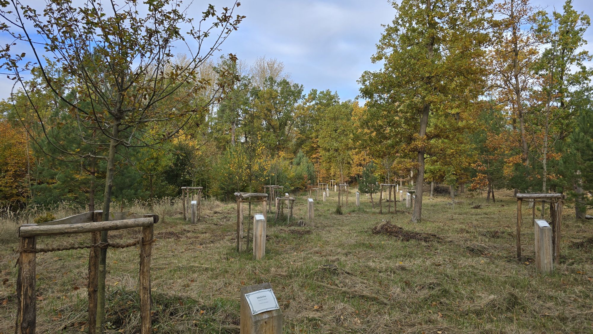 2._Pflanzfest_Bürgerwald_251025-00a