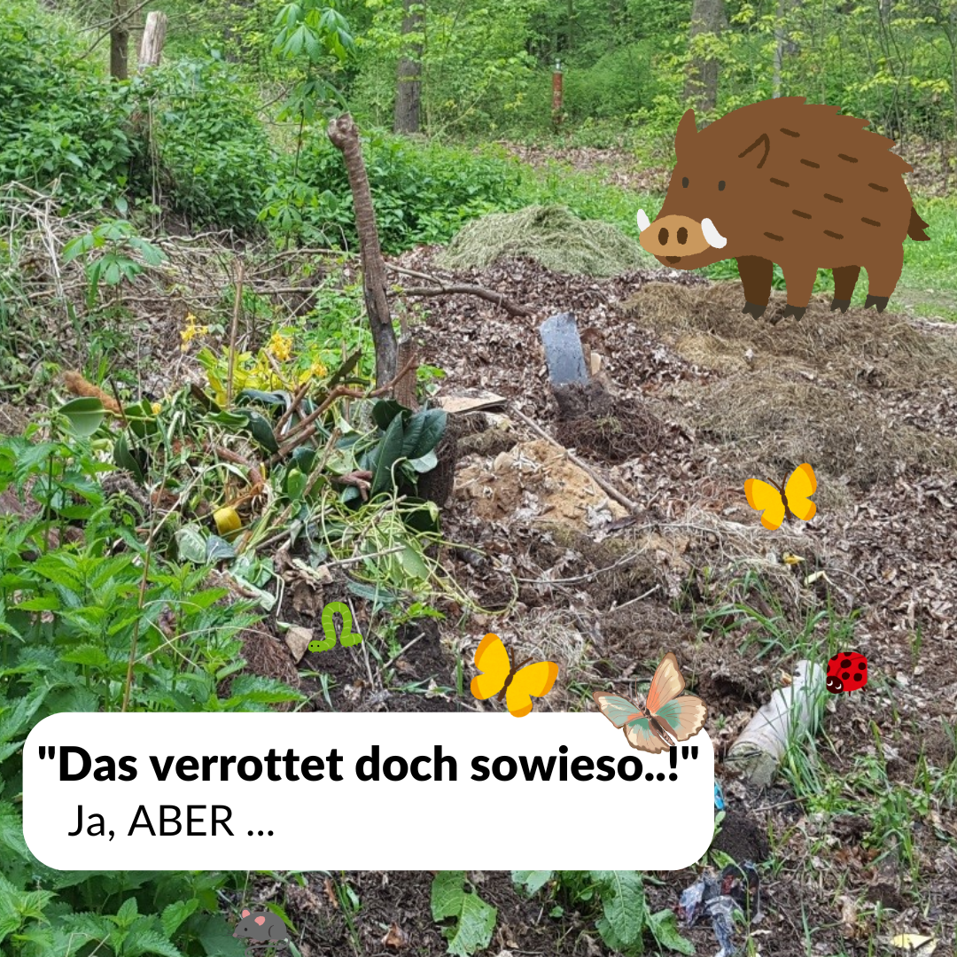 Gartenabfälle_gehören_nicht_in_den_Wald