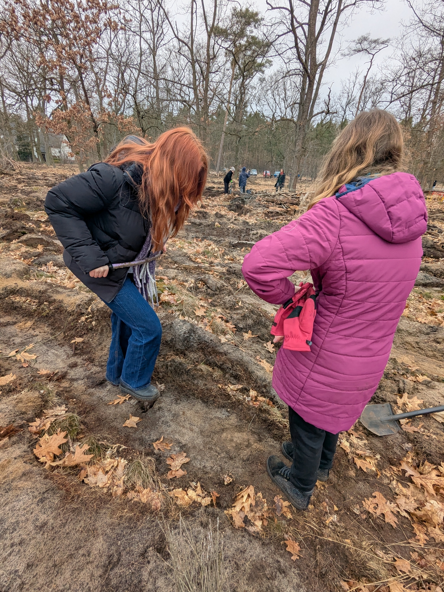 Pflanzaktion_EKMB-Jugend5__Thomas_Meier