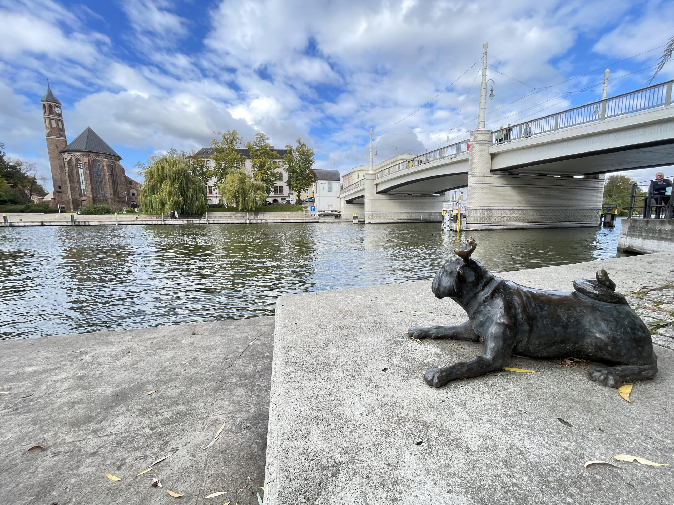 Mops_vor_der_Jahrtausendbrücke_RPP