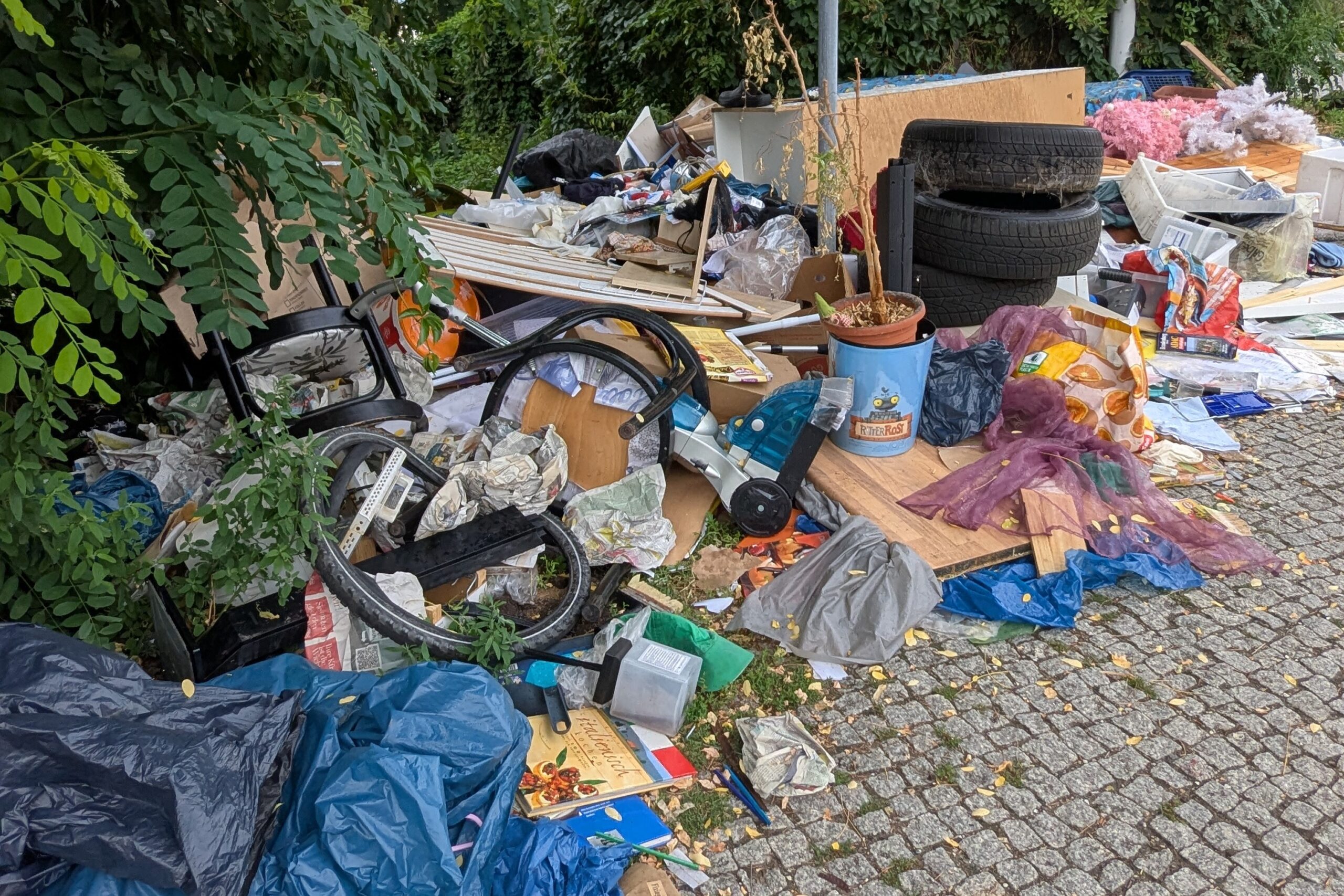 illegaler_Müll_01